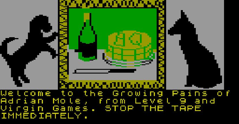 The Growing Pains of Adrian Mole - ZX Spectrum de Virgin Games (1987)