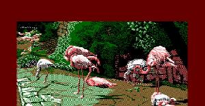 Amstrad CPC | Características no documentadas
