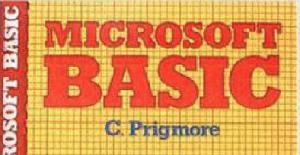 BASIC MICROSOFT, curso de Autoenseñanza para principiantes | Libro