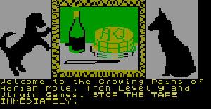 The Growing Pains of Adrian Mole - ZX Spectrum de Virgin Games (1987)